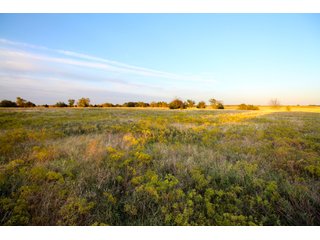 Garfield, County, Oklahoma farmland - LAND AUCTION - 160+/- ACRES OFFERED IN 2 TRACTS IN GARFIELD COUNTY, OKLAHOMA